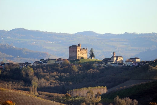Piemonte: Langhe-Roero e Monferrato Speciale Tour